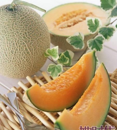 鹅吃哈密瓜,田园美食新篇章