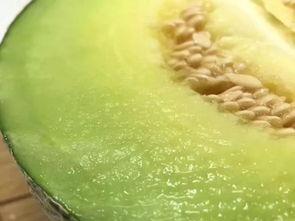 淡定吃瓜青蛙,揭秘网络红人的神秘魅力