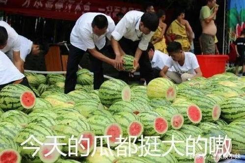 吃瓜导员,校园风云中的麻辣观察者