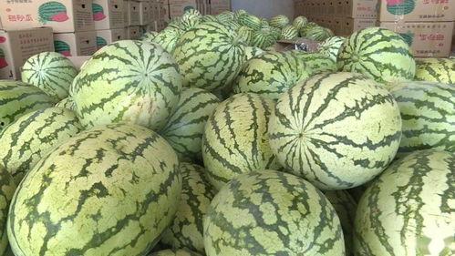 会宁县吃瓜事件