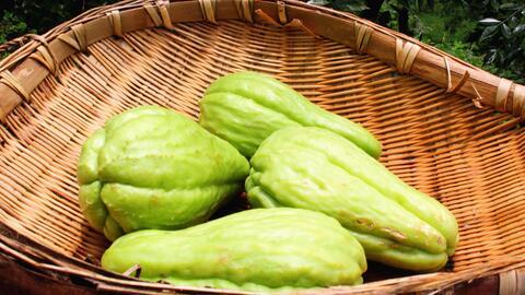 佛手瓜的叶子是否可以吃,可食用叶子的营养价值与食用方法