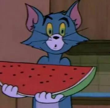 沙雕(吃瓜群众),揭秘娱乐圈幕后真相