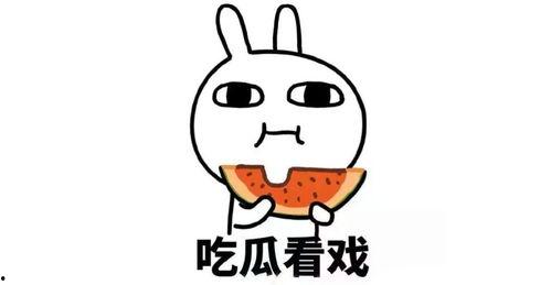 带你吃瓜外卖地址,探寻美食背后的故事与传奇”