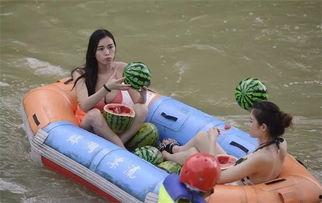 胖哥吃瓜群众,揭秘娱乐圈幕后故事