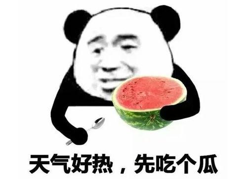 中二吃瓜表情包,揭秘网络文化新潮流